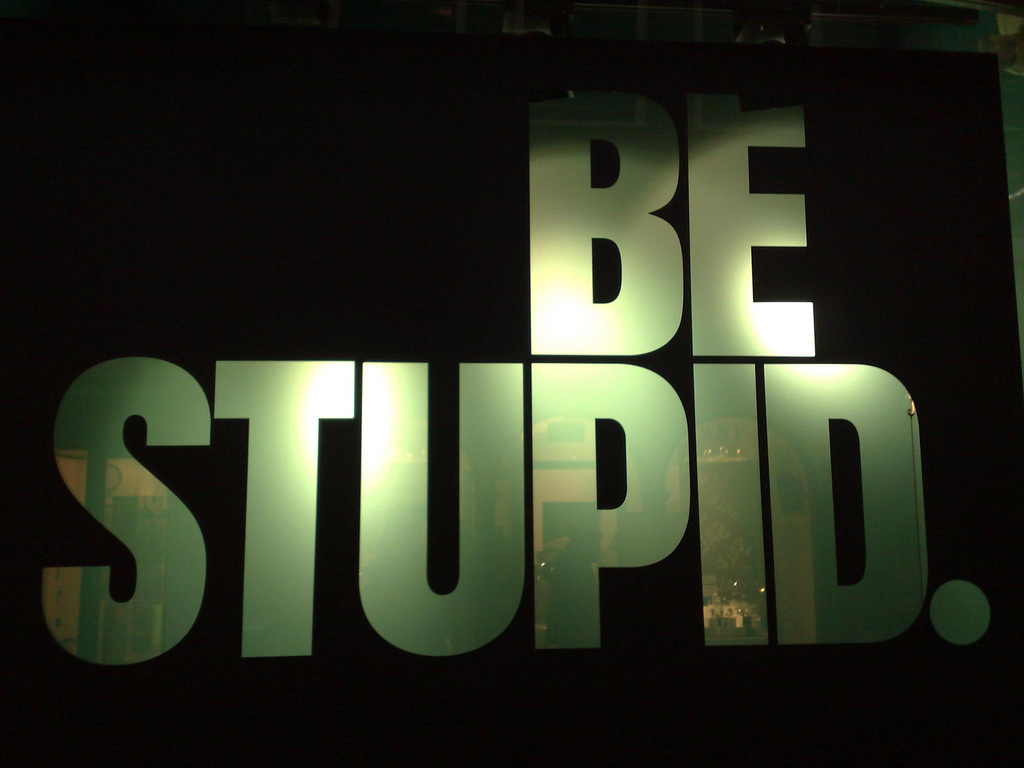 By Michiel from Amsterdam, The Netherlands (Be stupid @ Amsterdam) [Public domain or CC BY 2.0 (http://creativecommons.org/licenses/by/2.0)], via Wikimedia Commons