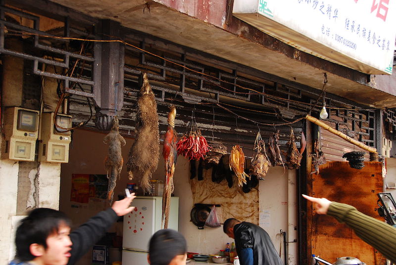 Bats, such as those sold in this Chinese market, are a possible source of the COVID-19 outbreak. (Simon Law / CC BY-SA (https://creativecommons.org/licenses/by-sa/2.0))